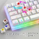 Womier K66 Mechanical Keyboard