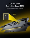 Lexar THOR OC DDR5 RAM 32GB Kit (2x16GB) 6000 MHz