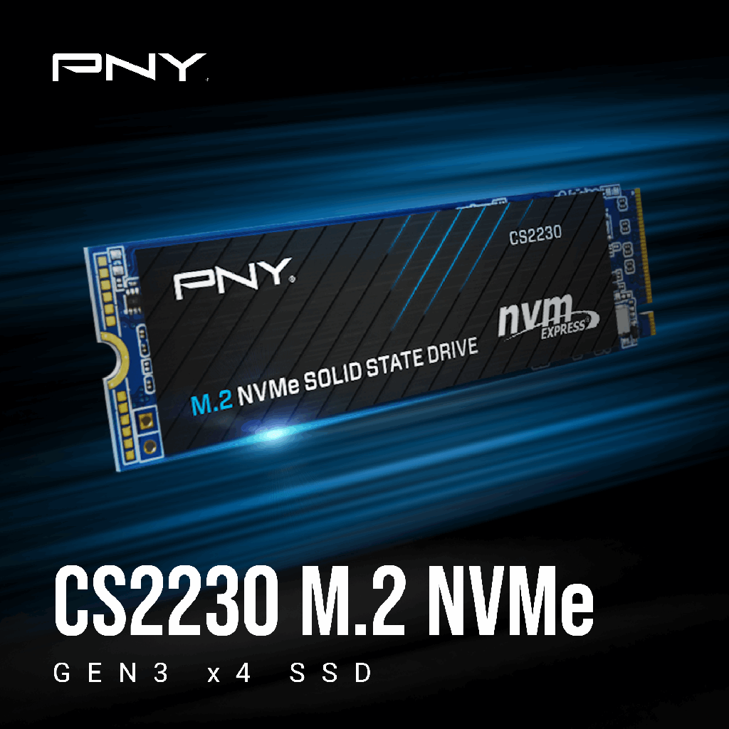  PNY 2TB 3400MBs CS2230 SSD