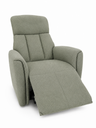 USED CHAIR SOFA BRAND DANUBE HOME Gray-Green