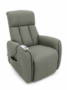 USED CHAIR SOFA BRAND DANUBE HOME Gray-Green