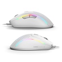 MOUSE GLORIOUS MODEL D v2 MATTE WHITE