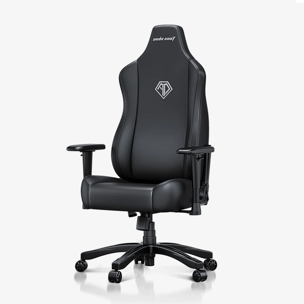 AndaSeat Novis Series Best Budget Ergonomic Gaming Chair AD23-L-01-B-PV