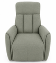 USED CHAIR SOFA BRAND DANUBE HOME Gray-Green