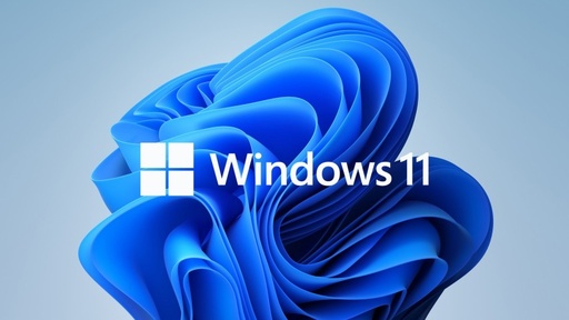 [GS2147] Install Windows 11 Pro with activation 