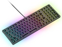 KEYBOARD Glorious Mechanical - Tenkeyless GMMK2 BLACK 65%