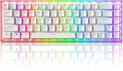 [GS2833] Womier K68A (68 Keys Mechanical RGB Keyboard) Hotswappable - Gateron Brown Switches 