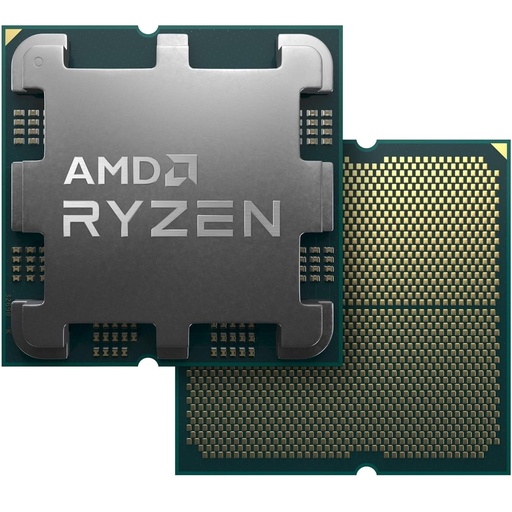[GS2338] AMD Ryzen 5 8400F Processor Tray