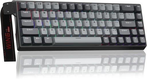 AULA WIN68HE PRO Mechanical Gaming Keyboard Wired - XingYi magnetic switch ( Light grey + dark grey )