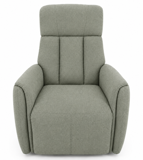USED CHAIR SOFA BRAND DANUBE HOME Gray-Green